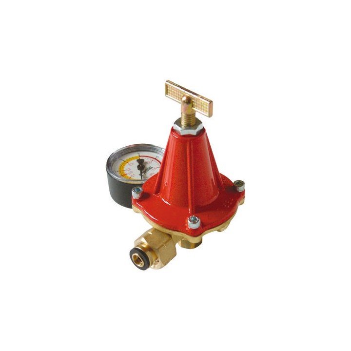RIDUTTORE GAS ALTA PRESSIONE 12 KG/H CON MANOMETRO MOD. AP12 12 kg/h