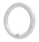 NEON CIRCOLARE T9 24 W - Ø 373 mm - 2400 lm