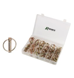 ASSORTIMENTO SPINE A SCATTO IN CASSETTA 50 pezzi