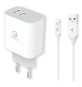 SET DI CARICA DA MURO A DOPPIA USB cavo USB attacco Tipo C (pot.max 15W)