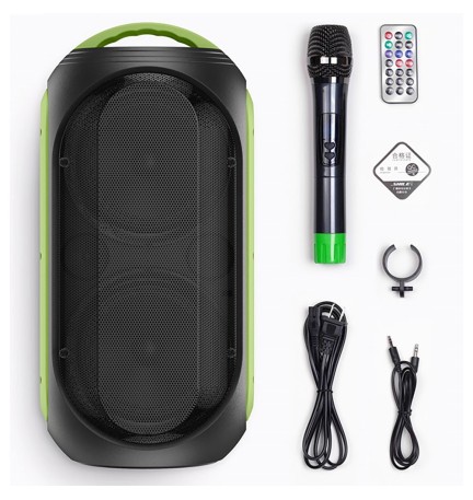 ALTOPARLANTE WIRELESS CON MICROFONO 'DS33' potenza uscita 30 W