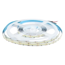 NASTRO STRIP LED l. bianca fredda - 6500K (IP20)