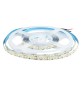 NASTRO STRIP LED l. bianca fredda - 6500K (IP20)