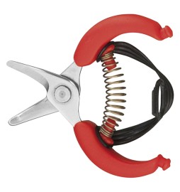 FORBICI COGLIAGRUMI cm 10