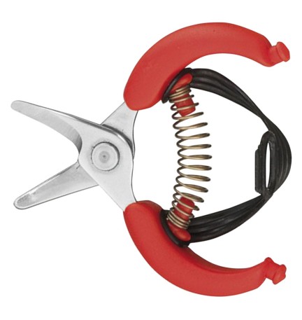 FORBICI COGLIAGRUMI cm 10