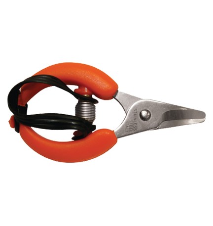 FORBICI COGLIAGRUMI cm 10