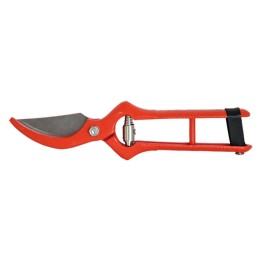 FORBICI DA VIGNA cm 21
