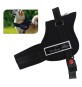 PETTORINA PER CANE taglia S/M/L