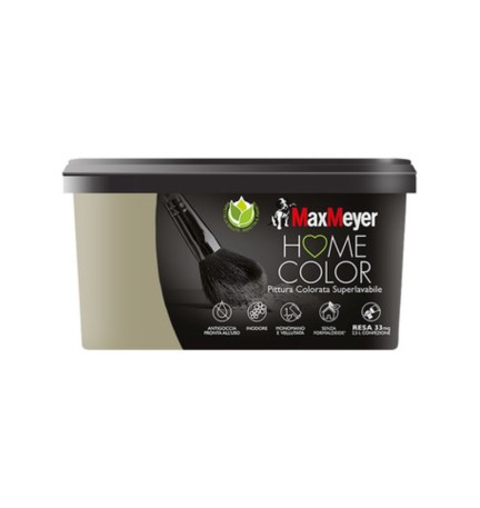 HOME COLOR SUPERLAVABILE LT.2,5 FANGO