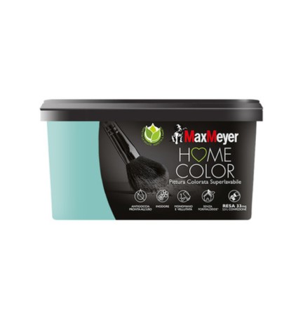 HOME COLOR SUPERLAVABILE LT.2,5 ELBA