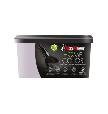 HOME COLOR SUPERLAVABILE LT.2,5 GLICINE