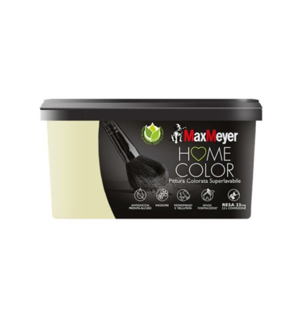 HOME COLOR SUPERLAVABILE LT.2,5 SALICE