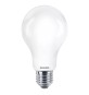 LAMPADA A LED 'GOCCIA' FREDD.6500K 23 W200W E27 - 3452 lm