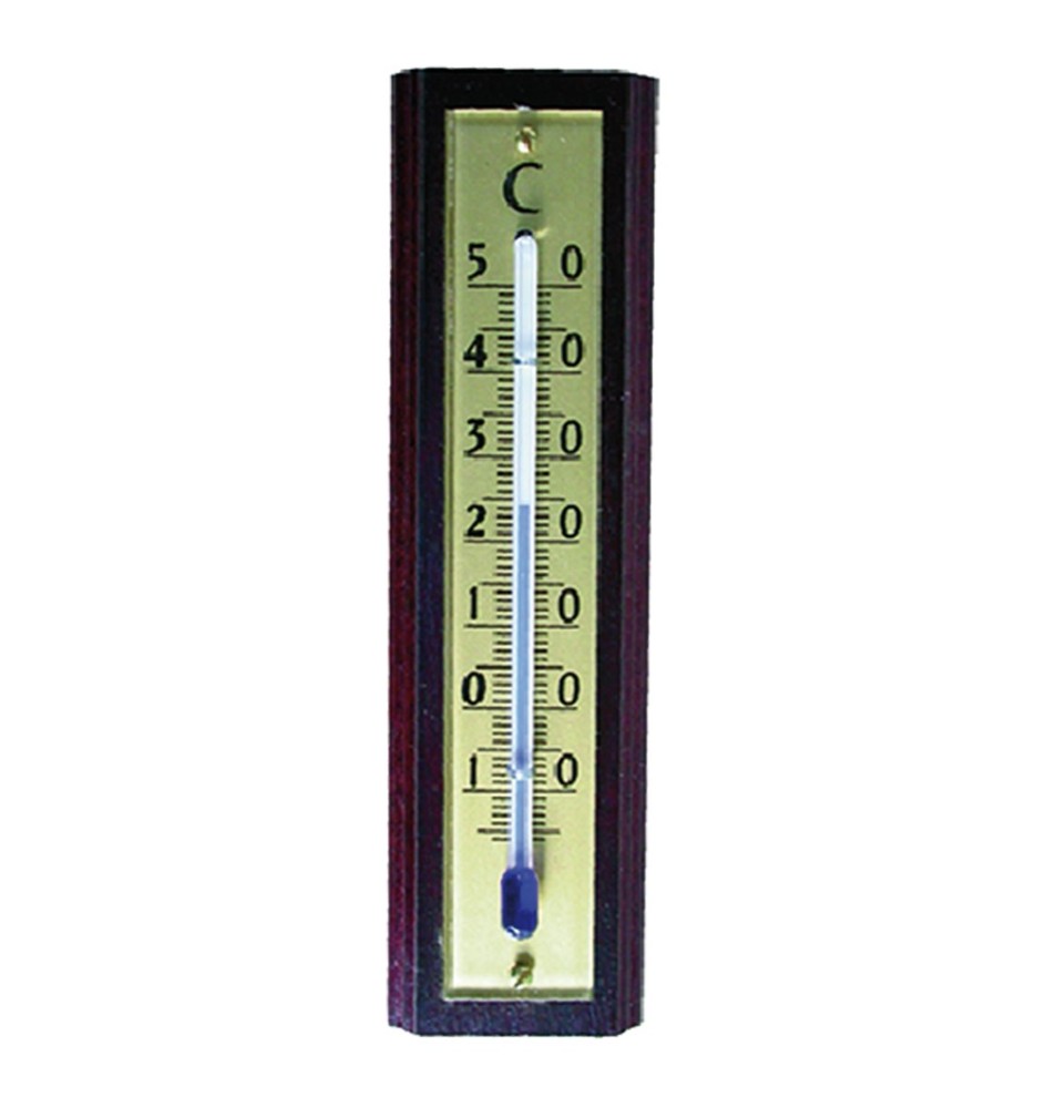 TERMOMETRO PER INTERNI art. 101119 - cm 15,5 x 3,5