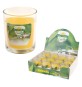 CANDELA ALLA CITRONELLA cm 8 x 7