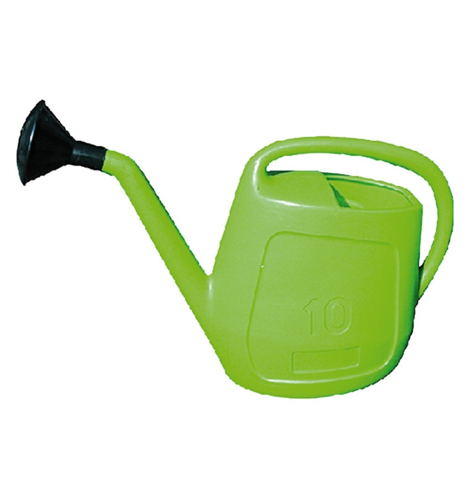 ANNAFFIATOIO A CIPOLLA Lt. 10