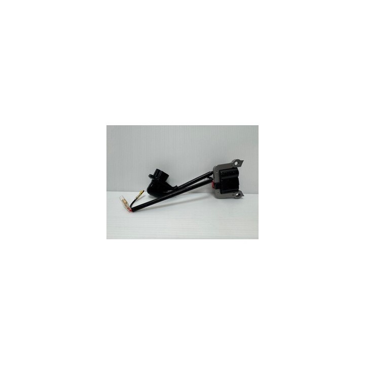 R BOBINA ELETTRICA P/CUT 33CC