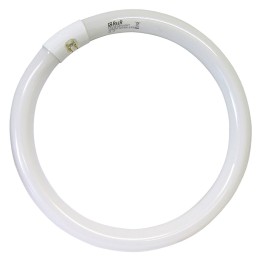 NEON CIRCOLARE 'TRIFOSFORI' W22 L.FREDDA - Ø mm 205 - 6400K