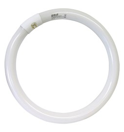 NEON CIRCOLARE 'TRIFOSFORI'  W40 L.FREDDA - Ø mm 395 - 6400K