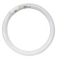 NEON CIRCOLARE 'TRIFOSFORI'  W40 L.FREDDA - Ø mm 395 - 6400K