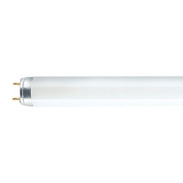 NEON LINEARE TRIFOSFORO 36 W - 1200 mm - luce fredda