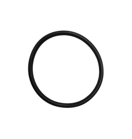 GUARNIZIONE PER TAPPO A VITE Diam. 200
