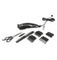 TAGLIACAPELLI ELETTRICO 10 watt