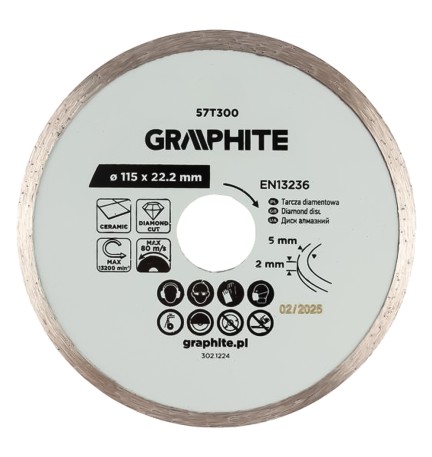 DISCO DIAMANTATO Ø 100 mm - foro 22,2 mm