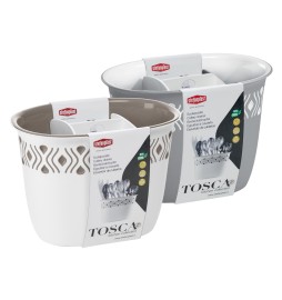 SCOLAPOSATE 'TOSCA' grigio/bianco