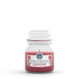 CANDELA OFFICINA DEI FIORI BACCHE ROSSE 50 ORE