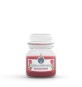 CANDELA OFFICINA DEI FIORI BACCHE ROSSE 50 ORE