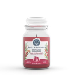 CANDELA OFFICINA DEI FIORI BACCHE ROSSE 100 ORE