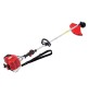 DECESPUGLIATORE 'PHD43' Kw 1,25 - c/accessori