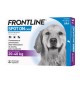 FRONTLINE SPOT-ON 20-40 KG CANI GRANDI 3 PIPETTE