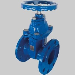 SARACINESCA CORPO PIATTO CUNEO GOMMATO PER FLANGIA - DN 40
