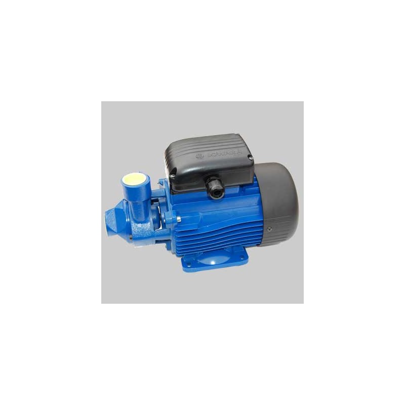 ELETTROPOMPA DI SUPERFICIE PERIFERICA BLUE PM 70 KW 0,75