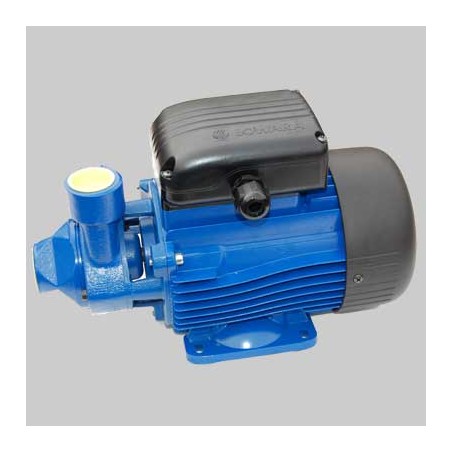 ELETTROPOMPA DI SUPERFICIE PERIFERICA BLUE PM 70 KW 0,75
