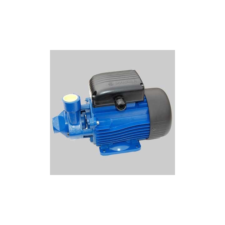 ELETTROPOMPA DI SUPERFICIE PERIFERICA BLUE PM 70 KW 0,75