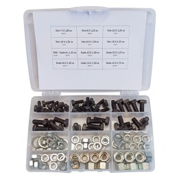 ASSORTIMENTO VITI DADI E RONDELLE totale 110 pz