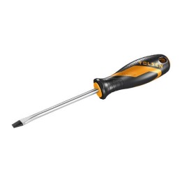 CACCIAVITE FISSO 5,5x100