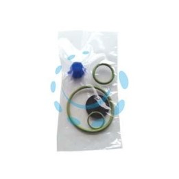 SET RICAMBI PER POMPE EROS VITON 