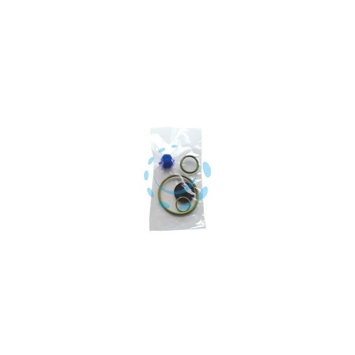 SET RICAMBI PER POMPE EROS VITON 
