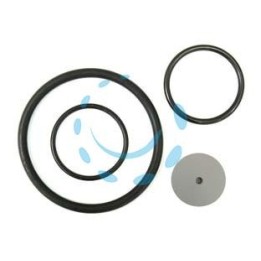 SET RICAMBI PER POMPE ARES 