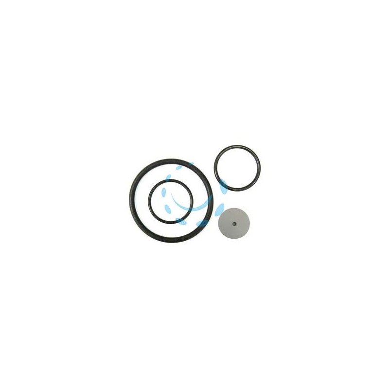 SET RICAMBI PER POMPE ARES 