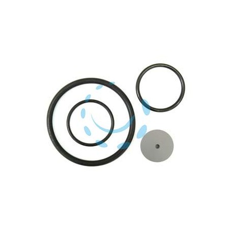 SET RICAMBI PER POMPE ARES 