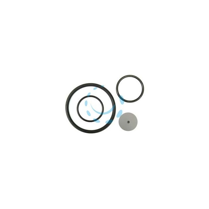SET RICAMBI PER POMPE ARES 