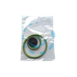 SET RICAMBI PER POMPA ARES VITON 