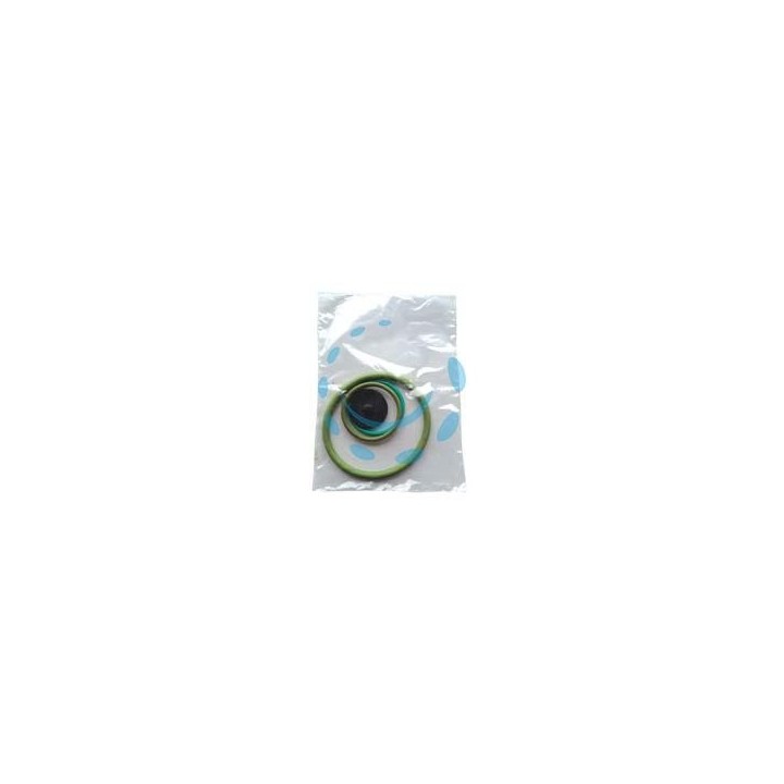 SET RICAMBI PER POMPA ARES VITON 