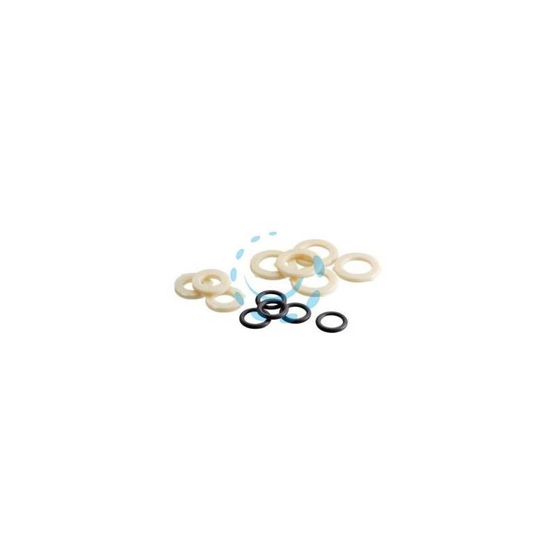 GUARNIZIONI O-RING IN BLISTER 8811 