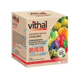 POLVERE DI ROCCIA CAOLINO VITHAL BIO